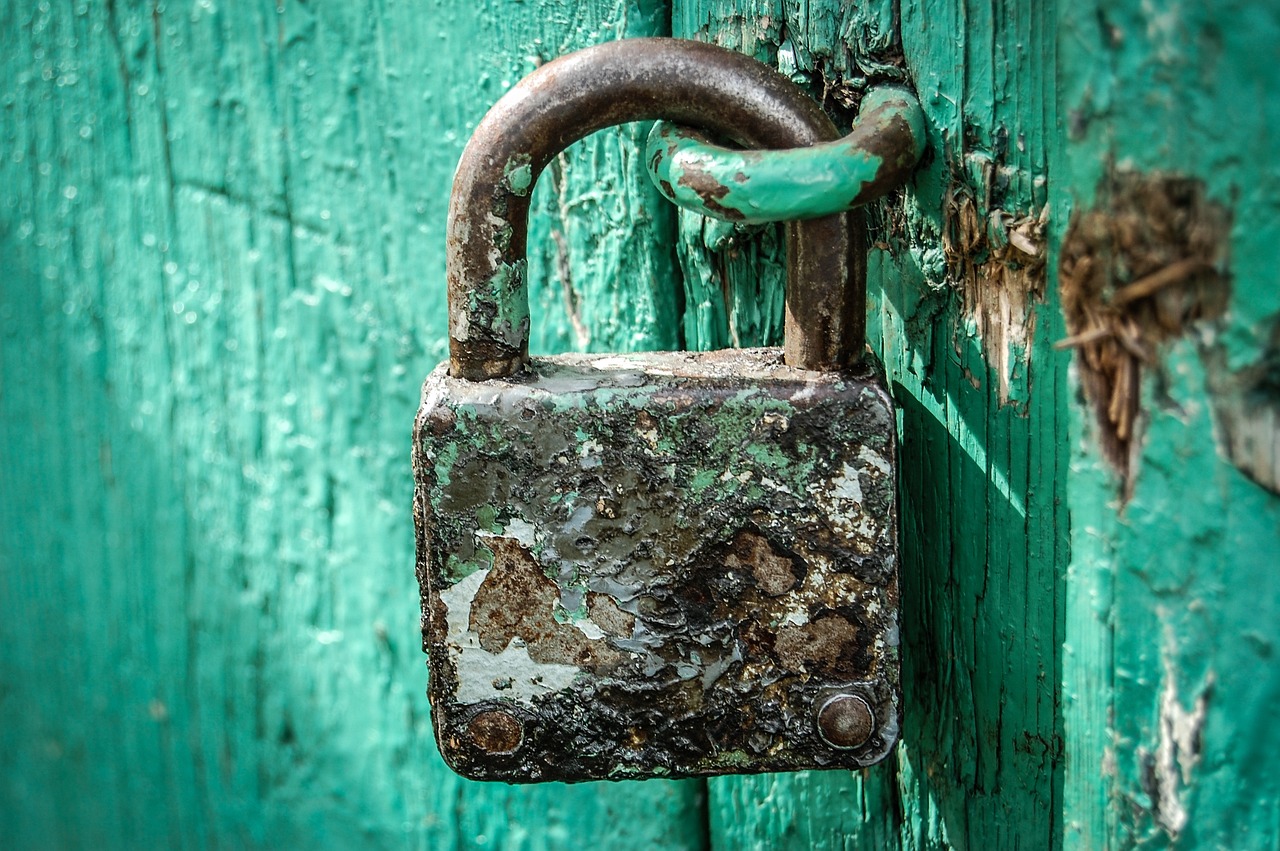 Biometric Security and Privacy - What You Should Know